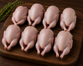 Quail