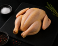 Organic Free Range Frozen Baby Chick